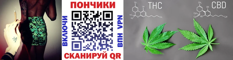 Продажа наркотиков Сланцы ГАШ  АМФЕТАМИН  A-PVP  МЕФ  Кокаин 