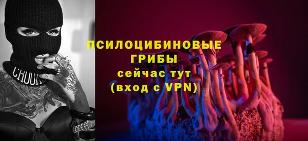 Альфа ПВП Аркадак