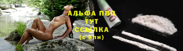 Альфа ПВП Аркадак