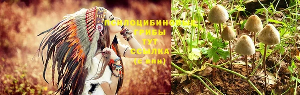 дживик Балабаново