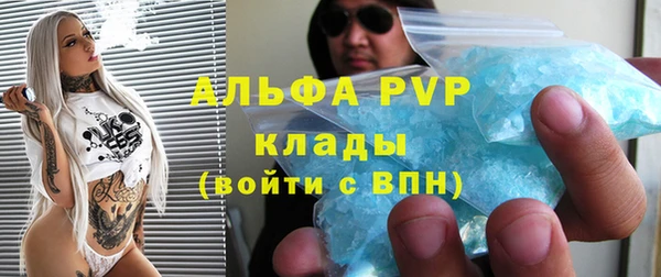PSILOCYBIN Баксан