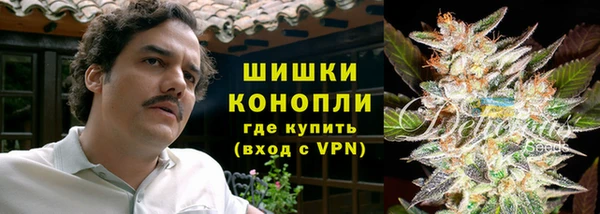 PSILOCYBIN Баксан