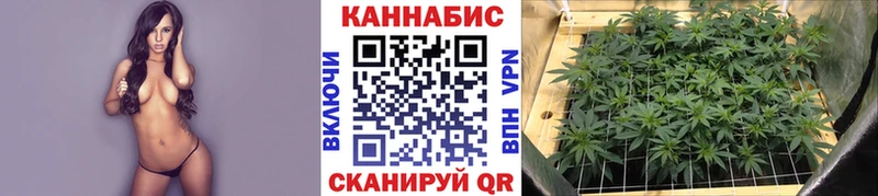 Канабис план  Сланцы 